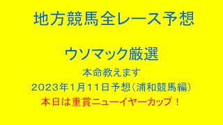 地方競馬（浦和競馬）全レース予想！ウソマック厳選本命教えます。２０２３年１月１１日予想！本日は重賞ニューイヤーカップ！