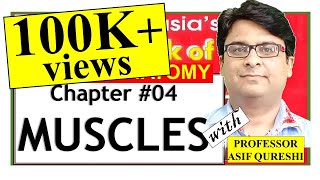 Chapter#4 | BD Chaurasia General Anatomy | Muscles | Dr Asif Lectures