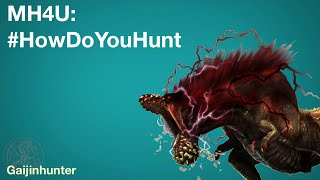 MH4U: HowDoYouHunt