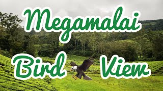 Megamalai Series   Bird view of Tea Estates 🏡 #megamalai #drone #dji #4k #theni