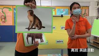 善一堂安逸幼稚園 2019-2020學年 語文教學活動系列(27) 全日高班C ~ 英語《At the zoo》