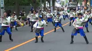 真舞會 2016 『鼓動』／公園通り北会場／第33回彩夏祭・第23回関八州よさこいフェスタ2016（初日）