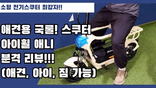 소형 전기스쿠터 최강자! 아이휠 애니(애견 끝판왕!) 본격 리뷰!!