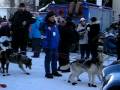 iditarod 2009