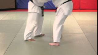 Dynamic Judo Foot Sweep Sample