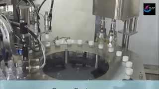 Automatic Capping Machine (servo system) with Cap Feeding Elevator