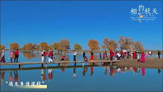 秋在额济纳，在弱水胡杨#额济纳风景 #内蒙古大漠上的一眼万年