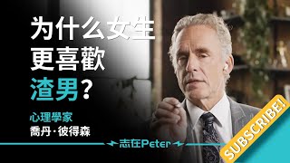 為什麼女生更喜歡渣男？——Dr Jordan B Peterson 喬丹·彼得森