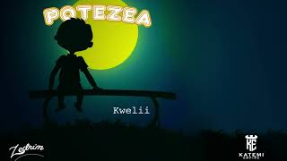 Zedrim Potezea Official Music Lyrics