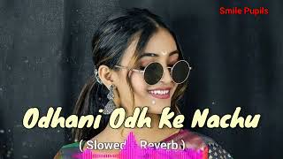 Odhani Odh Ke Nachu Lofi Song💌Slowed + Reverb💘Udit Narayan+ Alka Yagnik❤️New Hindi Love Mashup Song