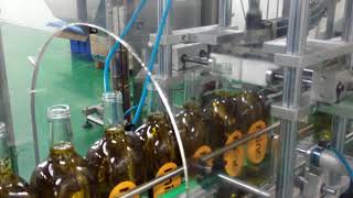 TGM Series Oil Filling Machine 2017 10 24