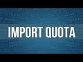 Economics Import quota with monopoly short & simpler