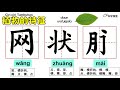 【一年级科学】单元6：植物 叶子）