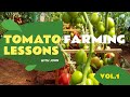 HOW I MADE KES 49,820 FROM 1/8 ACRE OF TOMATOES (ENGLISH)