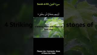 Surah Al-Fil (The Elephant): Arabic, Bangla and English translation/سورة الفيل مكتوبة ماهر المعيقلي