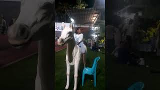 വെള്ളം കണ്ടാൽ കുതിര നിൽക്കുമോ 🐎🐎🐎