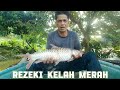 Rezeki kelah merah sungai kenong 🐟🐟