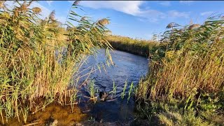 ПРИМОРСКОЕ. ЗА СЕЛОМ. ЕЛЕ ПРОБРАЛИСЬ! Одиночество бывает правильным...