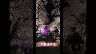 24.03 .29  경주 벚꽃 개화 실시간 야간 경주벚꽃축제  #안압지  #동궁과월지 #대릉원 #릴스  #벚꽃 #shots 벚꽃명소 꽃놀이