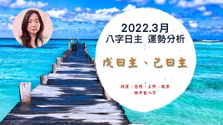 2022.3月八字運勢分析，戊、已日主 (3/5-4/3)