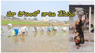 మేము నాటు వేసినం//పల్లెటూరు//Agriculture #raithu kastam #raithu bidda #do Subscribe more videos