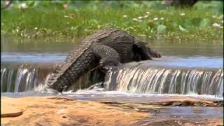 Muggers Of Spice Island / Quest For The Mugger Crocodile