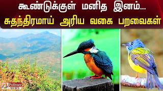 கூண்டுக்குள் மனித இனம்...  சுதந்திரமாய் பறவையினங்கள்...! | Humans Are Caged, Birds Fly Free