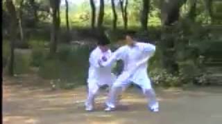 长春八极拳 何松吉 Zhangchun Ba Ji Quan He Songji