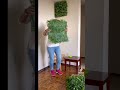 easy diy installation of artificial garden wall green wall panels