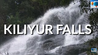 Kiliyur Falls | கிளியூர் நீர்வீழ்ச்சி | Yercaud | Lets Go.with Tourguide