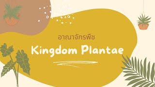 อาณาจักรพืช  Kingdom Plantae สรุปแบบย่อ