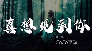 真想見到你 - CoCo李玟『來吧 我真的想見到你 在今天』【動態歌詞Lyrics】