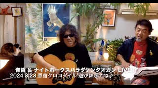 【お知らせ】青哲 \u0026 ナイトホークスハラダケンタオガン  LIVE!! 2024..3.23 原宿クロコダイル