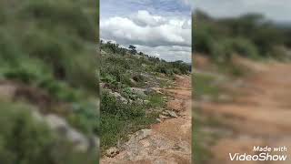 Mogili devara konda temple nature \u0026 Greenery🏞️☘️🍃🌿