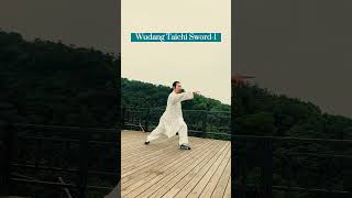 Wudang Taichi Sword-1