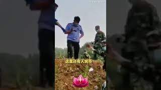 东航空难事件