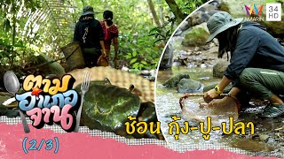 เดินเลาะลำธารช้อน กุ้ง-ปู-ปลา | ตามอำเภอจาน | 29 ม.ค.65 (2/3)