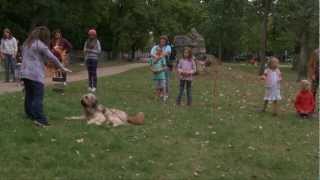 Mannheim-Luzenberg Wiesnfest 2012 -- Die Hundeshow