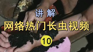 网络热门长虫视频 | 神秘中草药让人起死回生？你相信有吊打抗毒血清的民间神药吗 ？【世界记忆大师龙雅】