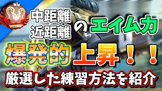 近距離と中距離のエイム力が爆発的に上昇する最強が厳選した練習メニュー　【APEX/エーペックスレジェンズ】