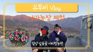 사과따는방법(feat.밀양얼음골 아리랑 사과농장)