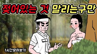 젖어있는 것 말리는구만 -1시간 모아보기11#옛날이야기 #민담 #야사 #야담 #고전 #설화