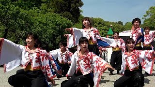 熊本県立大学 一大事 第15 回太宰府門前真舞祭 2019