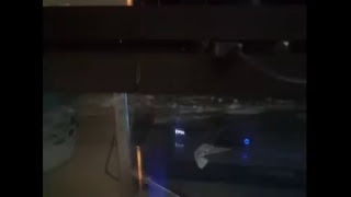 Gwendolyn Smith Live Stream