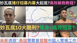 星星回家计划文档｜电诈青楼妙瓦底|苗瓦底猪仔招募内幕大起底?高效解救教程?妙瓦底10大酷刑?赎身=高效回家?牛馬不騙牛馬。