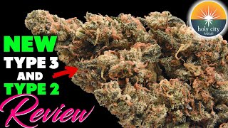New Unique Type 2 and 3 Strains from Holy City! | CBD Hemp Flower Review