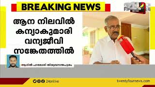 അരികൊമ്പൻ കേരളത്തിലേക്ക് കടക്കുന്നുവെന്നത് വ്യാജപ്രചാരണമെന്ന് വനം മന്ത്രി