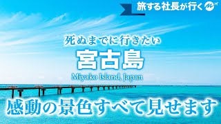 【完全ガイド】沖縄・宮古島41歳ひとり旅。東洋一の美しいビーチの旅行Vlog！国内旅行至高のリゾートを凝縮紹介【観光・グルメ】