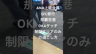 【SFC修行】那覇空港制限エリア内だけの旅 OKAタッチの過ごし方