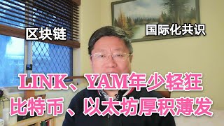 看了LINK、YAM的年少轻狂，你是否想起比特币、以太坊？见证区块链国际化共识~Robert李区块链日记769